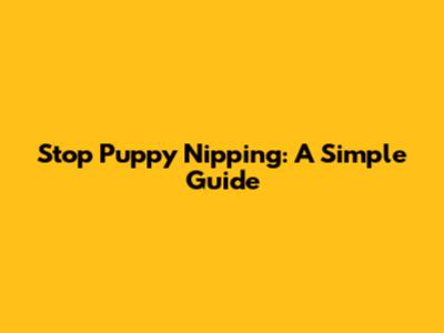 Stop Puppy Nipping: A Simple Guide