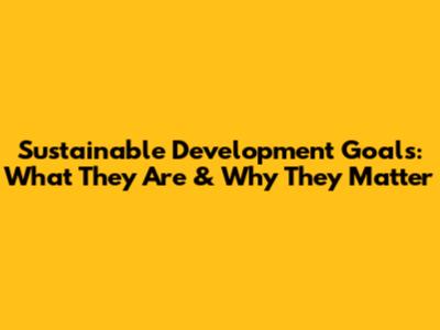 Sustainable Development Goals: What They Are & Why They Matter