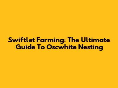 Swiftlet Farming: The Ultimate Guide To Oscwhite Nesting