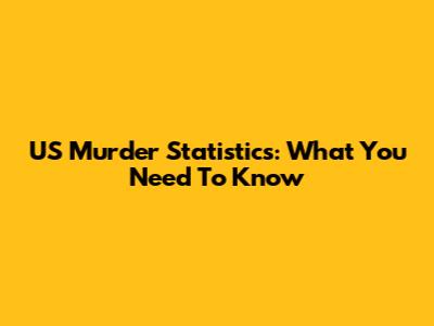 US Murder Statistics: What You Need To Know