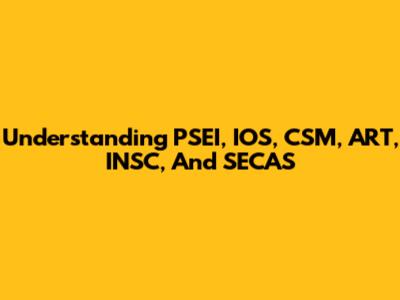 Understanding PSEI, IOS, CSM, ART, INSC, And SECAS