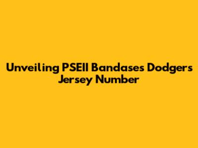 Unveiling PSEII Bandase's Dodgers Jersey Number