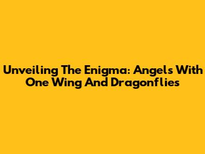 Unveiling The Enigma: Angels With One Wing And Dragonflies