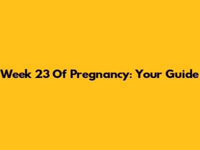 Week 23 Of Pregnancy: Your Guide