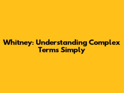 Whitney: Understanding Complex Terms Simply