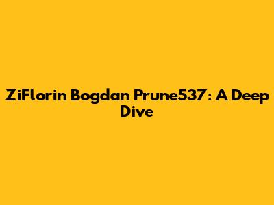 ZiFlorin Bogdan Prune537: A Deep Dive